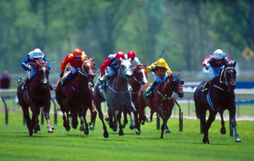 1Country Racing image4.jpg